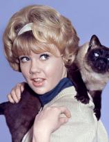 Hayley Mills in a publicity still for That Darn Cat! (1966)