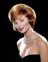 Tina Louise before Gilligans Island