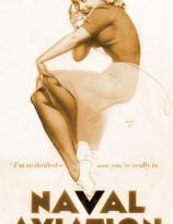 Naval Aviation Marine Corps Navy