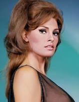 Raquel Welch 1960s