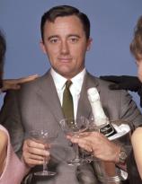 Napoleon Solo and friends