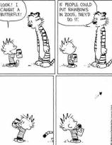 00369