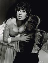 The Curse of the Werewolf