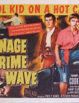 Teenage Crime Wave