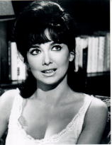 Suzanne Pleshette