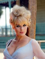 Elke Sommer leaning against a post