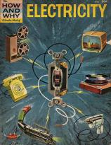 How and Why book on Electricity