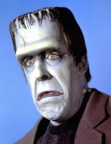 Fred Gwynne as Herman Munster