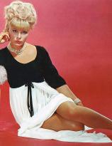 Elke Sommer - publicity photo for Mark Robsons The Prize (1963)
