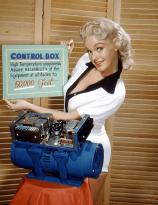 High Temperature Control Box