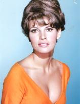 Raquel Welch in orange
