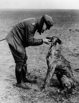 German flying ace, The Red Baron and his dog (NOT named Snoopy) 1916