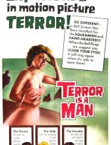 Terror is a man