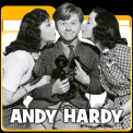 mns-andyhardy