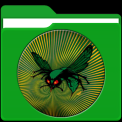 mns-greenhornet2