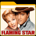 mns-flamingstar