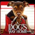 mns-adogswayhome