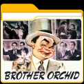 mns-brotherorchid