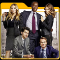mns-houseoflies05
