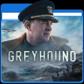 mns-greyhound