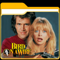 mns-birdonawire