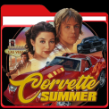 mns-corvettesummer