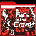 mns-afaceonthecrowd