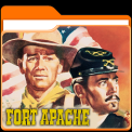 mns-fortapache