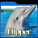 mns-flipper