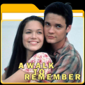 mns-awalktoremember