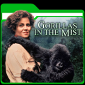 mns-gorillasinthemist
