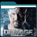 mns-damage2009