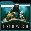 mns-cobweb
