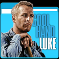 mns-coolhandluke