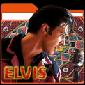 mns-elvis2022