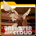 mns-brewstermccloud