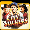 mns-cityslickers