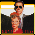 mns-guardingtess
