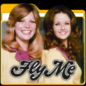 mns-flyme