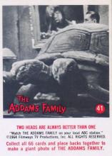 41
