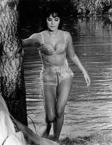 Natalie Wood from The Great Race
