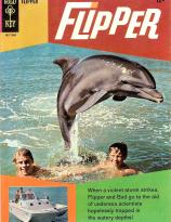 Flipper comic 1966