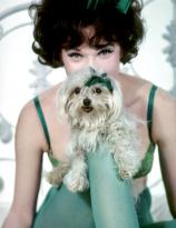 Shirley MacLaine photographed for Irma la Douce, 1963