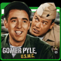 mns-gomer03