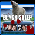 mns-blacksheep