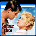mns-asummerplace