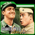 mns-gomer