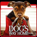mns-adogswayhome