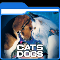 mns-catsanddogsmovie