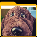 mns-allanthedog